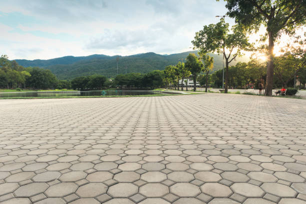 Best Interlocking Driveway Pavers  in Petersburg, VA